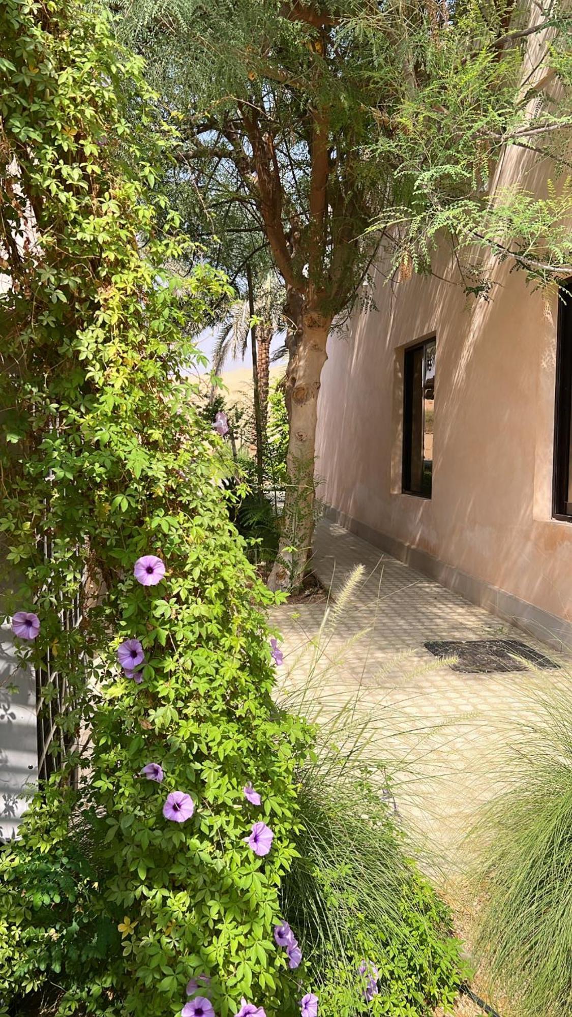 Al Artaa Holiday home *