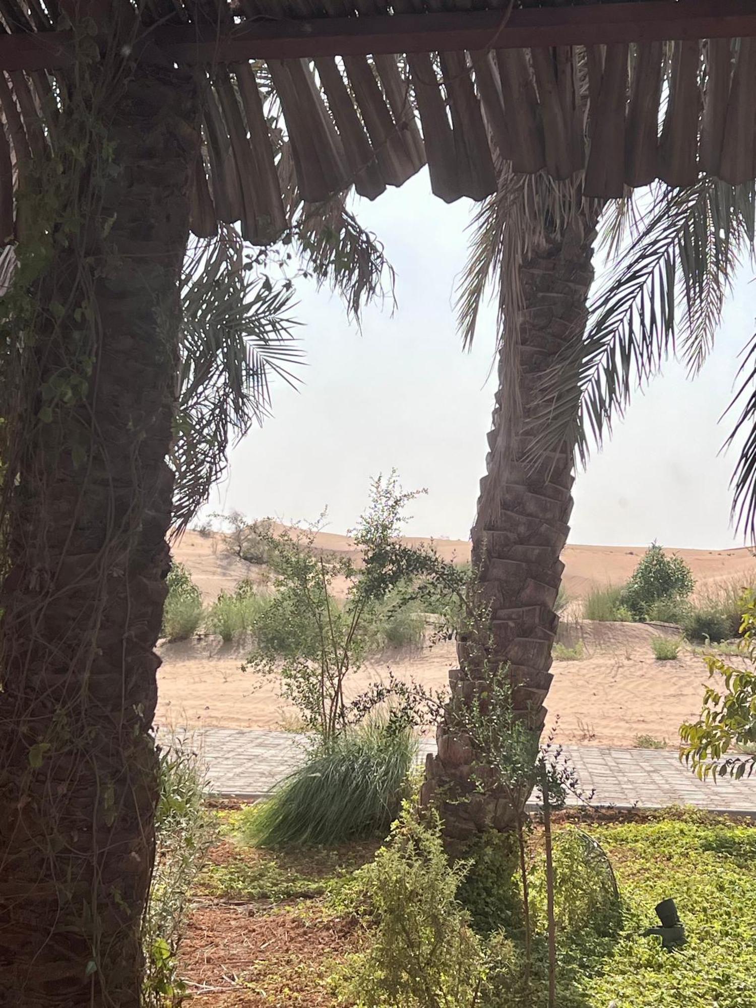 Al Artaa Holiday home